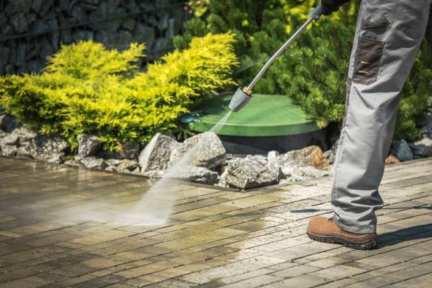 Best Spring Cleaning  in Clton, IN