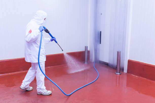 Best Playground Equipment Cleaning  in Clton, IN